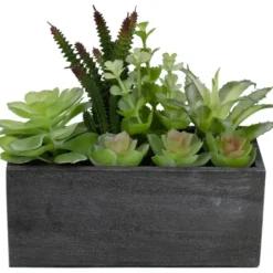 Arrangements & Greenery-Kirkland's Home Mixed Succulents In Black Wood Planter Box Green/Black
