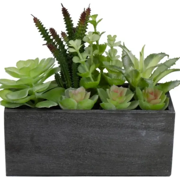 Arrangements & Greenery-Kirkland's Home Mixed Succulents In Black Wood Planter Box Green/Black