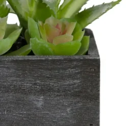 Arrangements & Greenery-Kirkland's Home Mixed Succulents In Black Wood Planter Box Green/Black