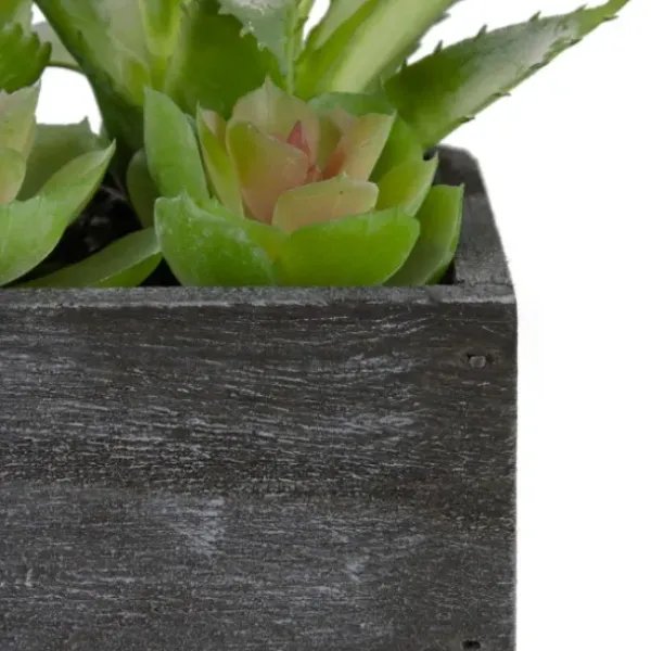 Arrangements & Greenery-Kirkland's Home Mixed Succulents In Black Wood Planter Box Green/Black