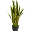 Arrangements & Greenery-Kirkland's Home Modern Potted Laurentii Snake Plant Green/Black