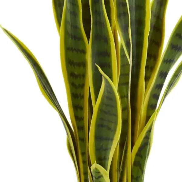Arrangements & Greenery-Kirkland's Home Modern Potted Laurentii Snake Plant Green/Black