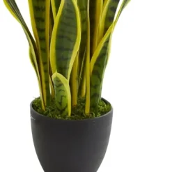 Arrangements & Greenery-Kirkland's Home Modern Potted Laurentii Snake Plant Green/Black