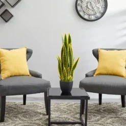 Arrangements & Greenery-Kirkland's Home Modern Potted Laurentii Snake Plant Green/Black