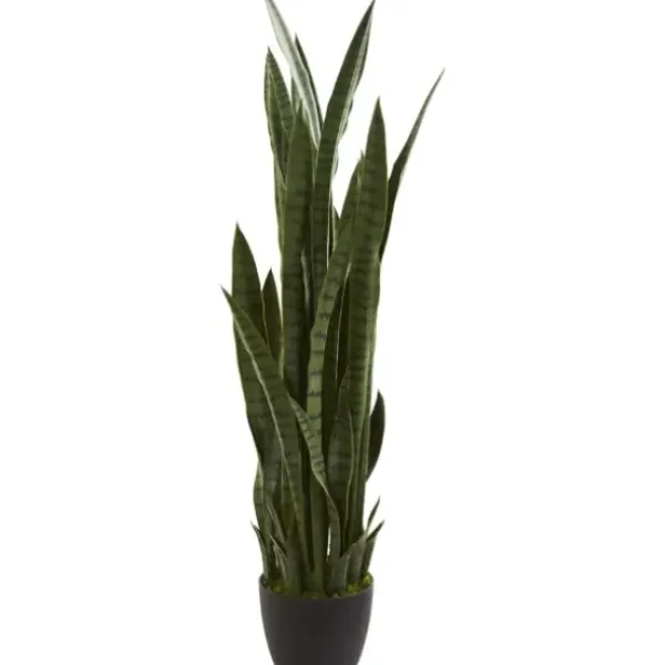 Arrangements & Greenery-Kirkland's Home Modern Potted Tri Snake Plant Green/Black
