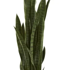 Arrangements & Greenery-Kirkland's Home Modern Potted Tri Snake Plant Green/Black