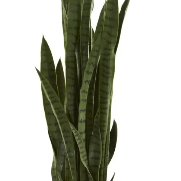Arrangements & Greenery-Kirkland's Home Modern Potted Tri Snake Plant Green/Black