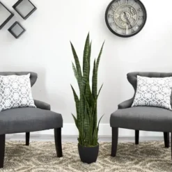 Arrangements & Greenery-Kirkland's Home Modern Potted Tri Snake Plant Green/Black