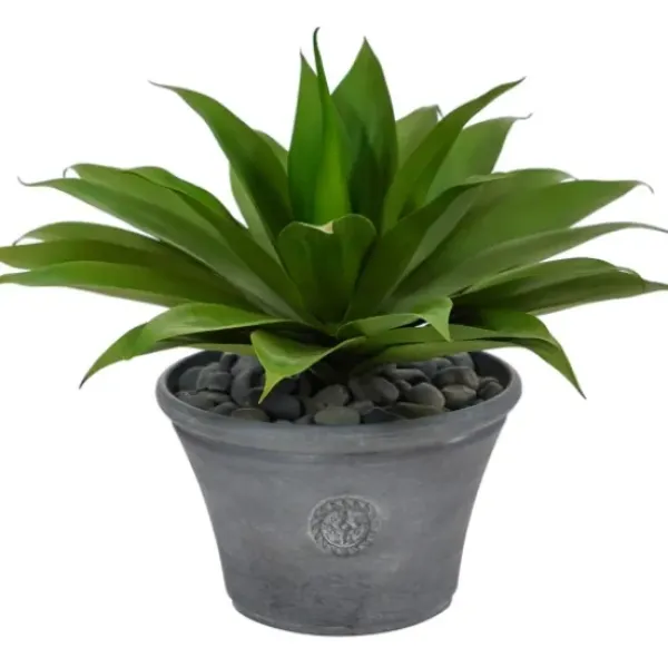 Arrangements & Greenery-Kirkland's Home Mojave Agave Succulent In Gray Planter Green/Brown