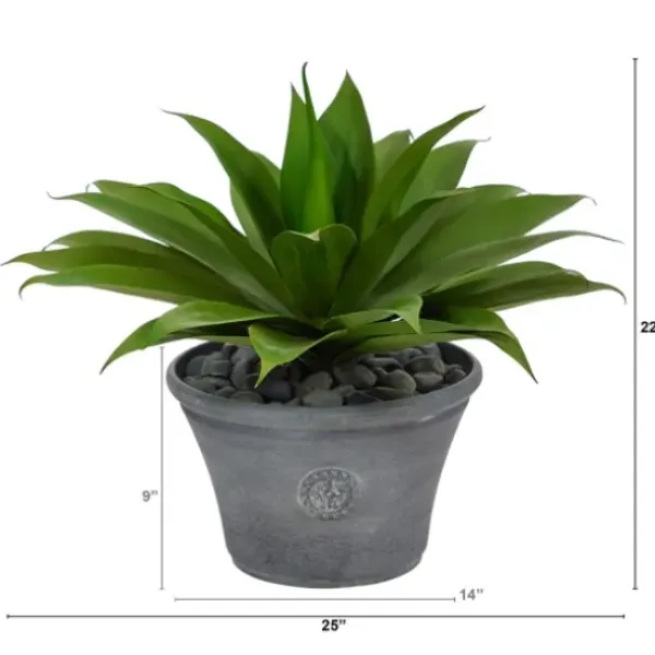 Arrangements & Greenery-Kirkland's Home Mojave Agave Succulent In Gray Planter Green/Brown