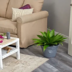 Arrangements & Greenery-Kirkland's Home Mojave Agave Succulent In Gray Planter Green/Brown