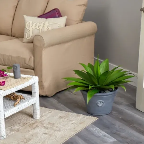 Arrangements & Greenery-Kirkland's Home Mojave Agave Succulent In Gray Planter Green/Brown