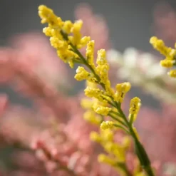 Stems & Bouquets-Kirkland's Home Multicolor Berry Bud Bundles, Set Of 3 Pink/Yellow/White/Green