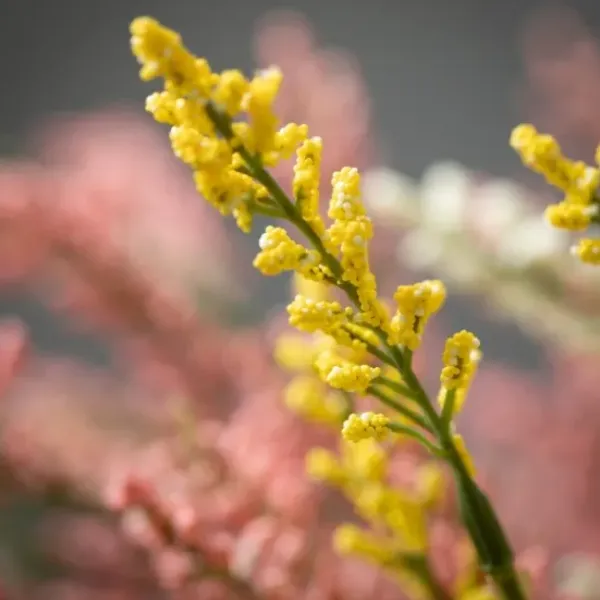Stems & Bouquets-Kirkland's Home Multicolor Berry Bud Bundles, Set Of 3 Pink/Yellow/White/Green