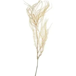 Stems & Bouquets-Kirkland's Home Natural Bleached Andares Fern Stems, Set Of 9 Ivory
