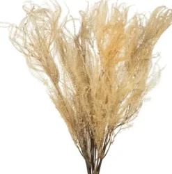 Stems & Bouquets-Kirkland's Home Natural Bleached Andares Fern Stems, Set Of 9 Ivory