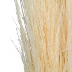Stems & Bouquets-Kirkland's Home Natural Bleached Pampas Grass Stems, Set Of 6 Ivory