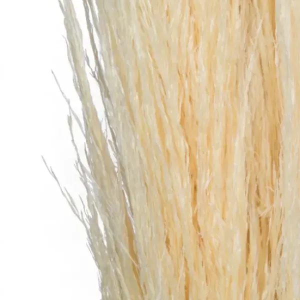 Stems & Bouquets-Kirkland's Home Natural Bleached Pampas Grass Stems, Set Of 6 Ivory