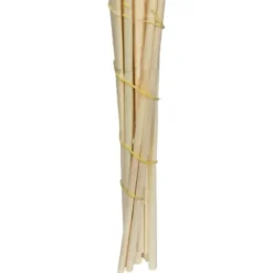 Stems & Bouquets-Kirkland's Home Natural Bleached Pampas Grass Stems, Set Of 6 Ivory