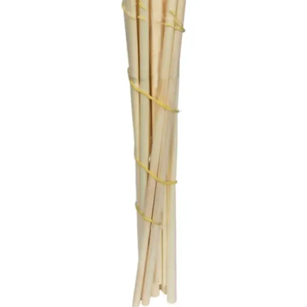 Stems & Bouquets-Kirkland's Home Natural Bleached Pampas Grass Stems, Set Of 6 Ivory