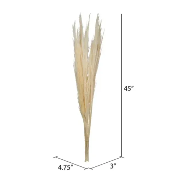 Stems & Bouquets-Kirkland's Home Natural Bleached Pampas Grass Stems, Set Of 6 Ivory