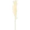 Stems & Bouquets-Kirkland's Home Natural Cream Pampas Grass Stems, Set Of 4 Ivory