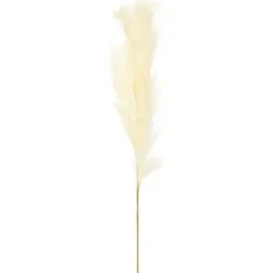 Stems & Bouquets-Kirkland's Home Natural Cream Pampas Grass Stems, Set Of 4 Ivory