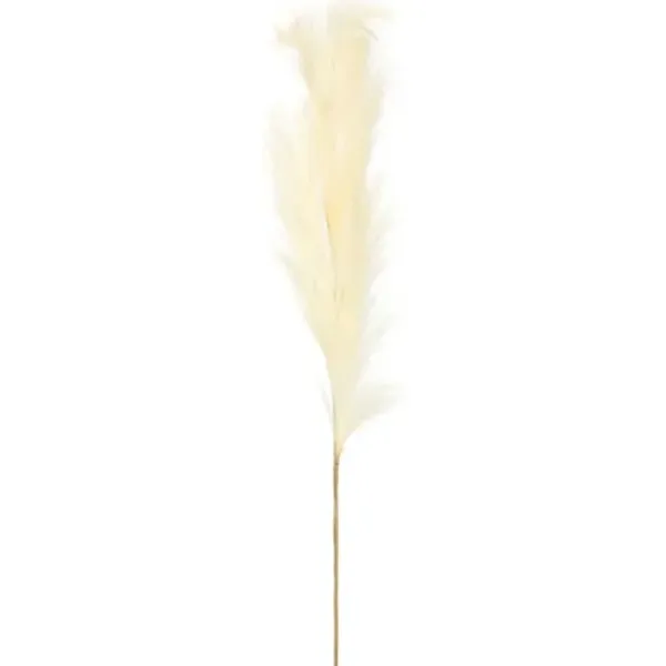 Stems & Bouquets-Kirkland's Home Natural Cream Pampas Grass Stems, Set Of 4 Ivory