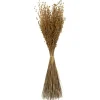 Stems & Bouquets-Kirkland's Home Natural Dried Princess Grass Bundles, Set Of 3 Tan