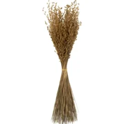 Stems & Bouquets-Kirkland's Home Natural Dried Princess Grass Bundles, Set Of 3 Tan