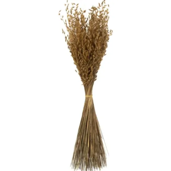 Stems & Bouquets-Kirkland's Home Natural Dried Princess Grass Bundles, Set Of 3 Tan