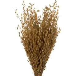 Stems & Bouquets-Kirkland's Home Natural Dried Princess Grass Bundles, Set Of 3 Tan