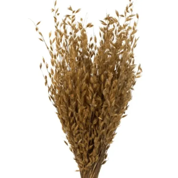 Stems & Bouquets-Kirkland's Home Natural Dried Princess Grass Bundles, Set Of 3 Tan