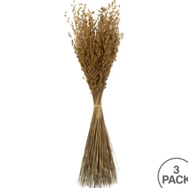 Stems & Bouquets-Kirkland's Home Natural Dried Princess Grass Bundles, Set Of 3 Tan