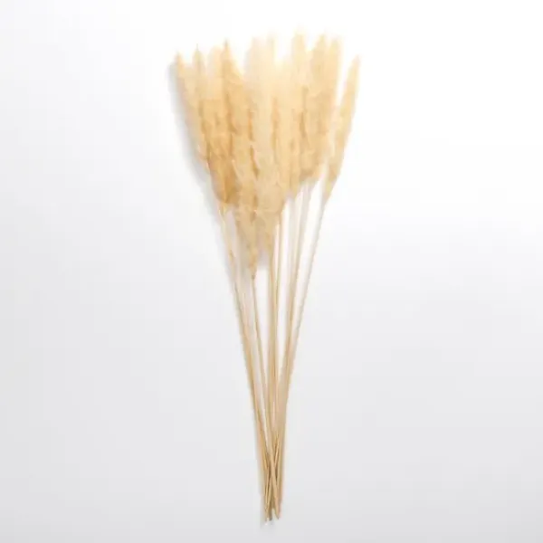 Stems & Bouquets-Kirkland's Home Natural Pampas Bundle Tan