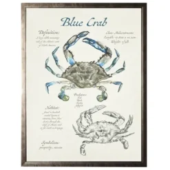 Framed Art-Kirkland's Home Nature Study Of A Blue Crab Framed Art Print Tan