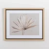 Framed Art-Kirkland's Home Neutral Dry Palm Leaf Framed Art Print Tan/Brown/White