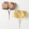 Stems & Bouquets-Kirkland's Home Neutral Palm Bushes, Set Of 2 Brown/Ivory