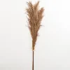 Stems & Bouquets-Kirkland's Home Nutmeg Pampas Grass Bundle Brown
