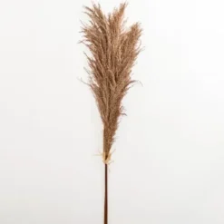 Stems & Bouquets-Kirkland's Home Nutmeg Pampas Grass Bundle Brown