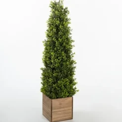 Trees & Topiaries-Kirkland's Home Obelisk Boxwood Topiary In Wood Box, 36 In.