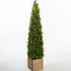 Trees & Topiaries-Kirkland's Home Obelisk Boxwood Topiary In Wood Box, 48 In.