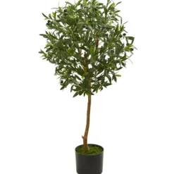 Trees & Topiaries-Kirkland's Home Olive Tree, 3.5 Ft.