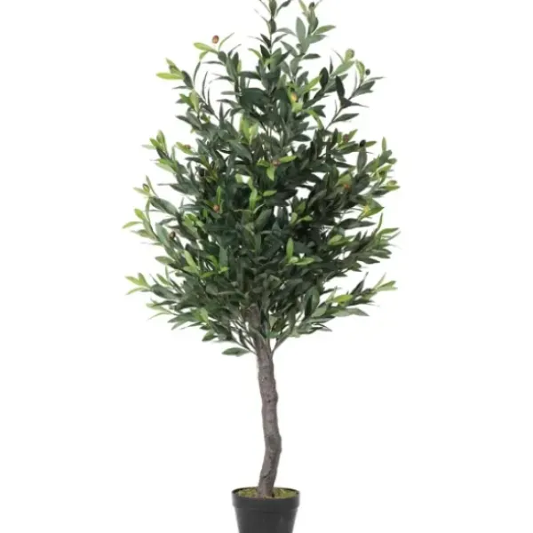 Trees & Topiaries-Kirkland's Home Olive Tree In Black Planter, 50 In.