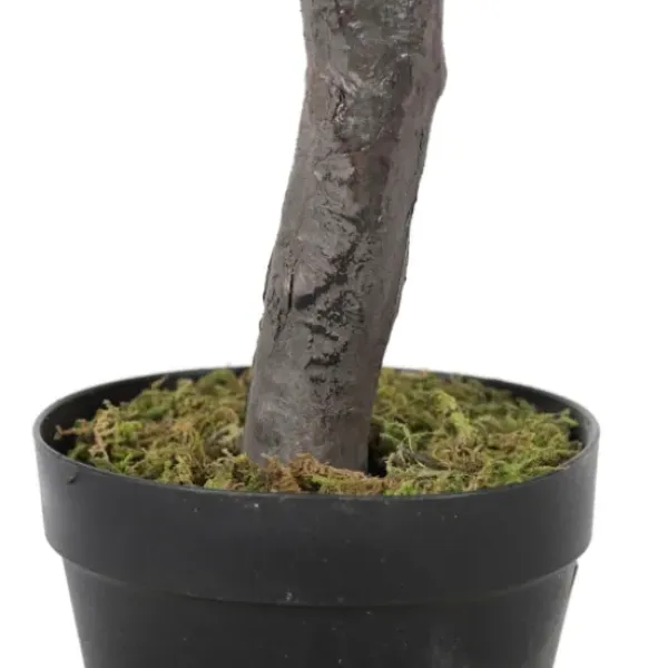 Trees & Topiaries-Kirkland's Home Olive Tree In Black Planter, 50 In.