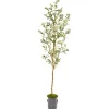 Trees & Topiaries-Kirkland's Home Olive Tree In Mossy Metal Planter