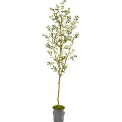 Trees & Topiaries-Kirkland's Home Olive Tree In Mossy Metal Planter