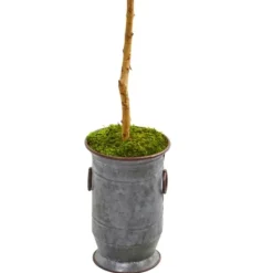 Trees & Topiaries-Kirkland's Home Olive Tree In Mossy Metal Planter