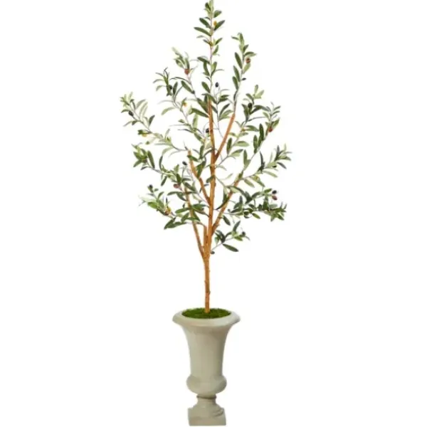 Trees & Topiaries-Kirkland's Home Olive Tree In Sandy Urn Planter