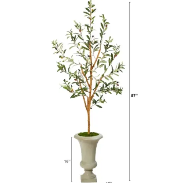 Trees & Topiaries-Kirkland's Home Olive Tree In Sandy Urn Planter